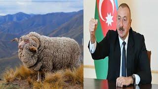 իլհամ ալիև հումոր //ilham aliyev humor //ильхам алиев юмор//