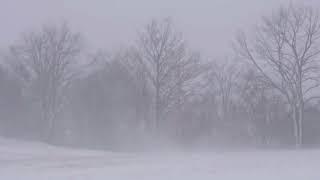 Snow Blizzard Relaxing Wind Sounds 10 minutes/ Strong Winds Blowing Snow (Relax, Sleep, Study,etc