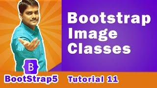 Bootstrap Image Classes - Bootstrap5 Tutorial 11