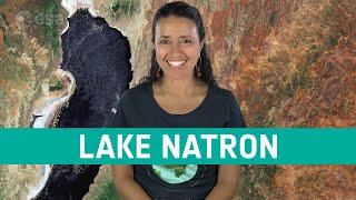 Earth from space: Lake Natron