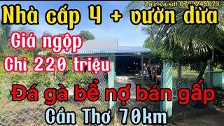 Đá gà bể nợ bán gấp nhà cấp 4+ đất vườn chỉ 220 triệu, cách Cần Thơ 70 km, LH 0792246079 gặp Long