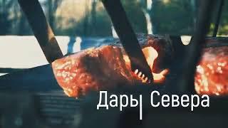 Дары севера