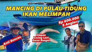 TIPS MANCING DI PULAU SERIBU PULAU TIDUNG ANTI BONCOS  SEWA KAPAL MANCING PULAU SERIBU