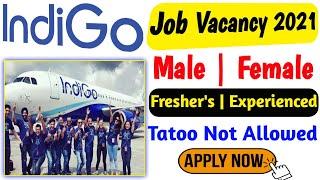 Indigo Recruitment 2021 | Indigo Airlines Job Vacancy 2021 | Fresher & Experienced | Apply Online