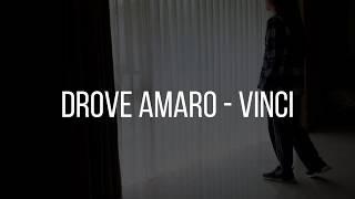 FREESTYLE/ROBOT DANCE/DUBSTEP DANCE/ DROVE AMARO - VINCI