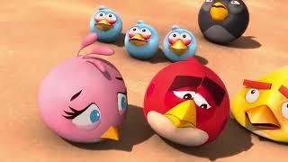 angry birds toons 4D