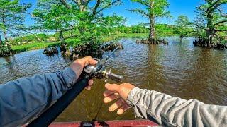 Most Important Tournament of the year Fishing The Chickahominy River