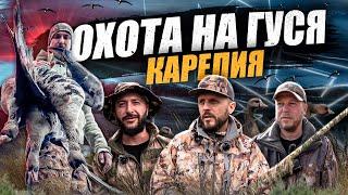 ОХОТА НА ГУСЯ в Карелии. Что? Где? Когда? В ПОГОНЕ ЗА ГУСЕМ....!