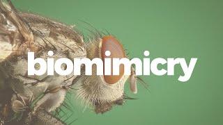 Biomimicry is more than just good design.