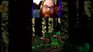 Don't Kill This Vulture #dkc #donkeykong #snes #nintendo #retrogaming #vi... | #shorester on #Twitch