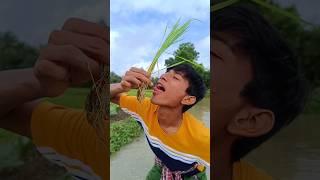 আজ আমি বাবার সাথে জমি রুইলাম  | #banglavlog #minivlog