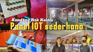 Kandang Rak Dengan Sistem IOT sederhana