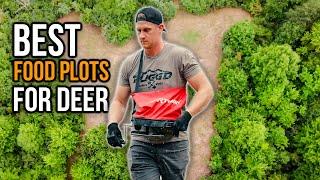 Best Way To Maximize Deer Food in Small Food Plots