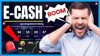 eCash $1only 4 day Halving Price Pump | Xec coin Buy Sell || XEC Price Analisis today