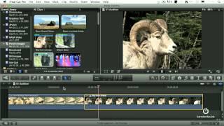 Create Auditions in Final Cut Pro X - compare clips