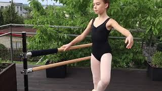 Artan Balance Ballet Barres