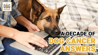 A Decade of Dog Cancer Answers │ Rewind with Dr. Demian Dressler