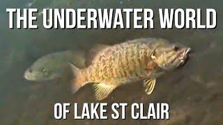 Fishing Lake St Clair With Underwater View Of Bass, Walleye and MORE!