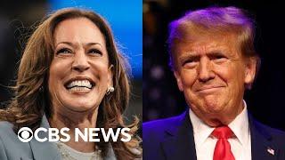 New poll shows likability matters more for Harris than Trump