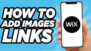 How To Add Image Links On Wix (2024)