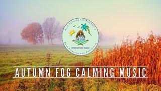 Autumn Fog Calming Music | Fall Ambience, Foliage, Forest