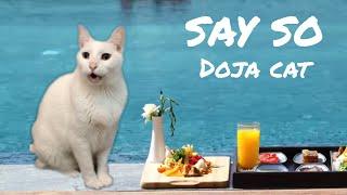 Doja Cat - Say So - Cats Parody