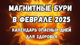 Магнитные бури в феврале 2025. Календарь магнитных бурь на февраль 2025: самые опасные дни месяца.