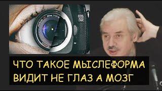  Н.Левашов: Мыслеформа - что это? Видит глаз или мозг? Ответы на вопросы читателей