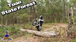 Enduro riding in Tuan State Forest