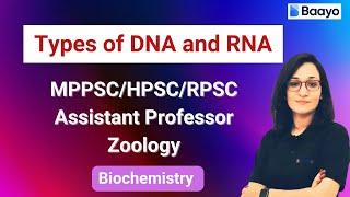 Types of DNA and RNA | for MPPSC | RPSC | HPSC | CSIR NET