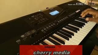 YAMAHA psr E 463 performance demo 5