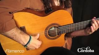 Cordoba Guitars - C5-CE Nylon String Guitar