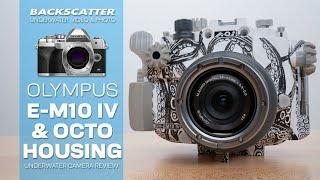 Olympus E-M10 IV and Backscatter Octo Housing | Underwater Camera Review #underwaterphotography