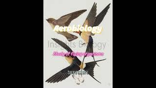 Aerobiology - Biology Vocabulary | Insights Biology