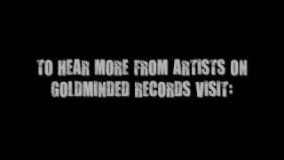 GOLDMINDED RECORDS ARTISTS SAMPLER (2009)