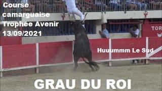 GRAU DU ROI-Course Camarguaise-Avenir-13/09/2021