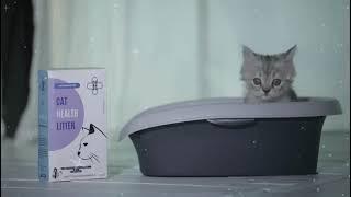 COLORLESS DRD3 EARLY DETECTION CAT HEALTH LITTER VIDEO! HOW TO USE