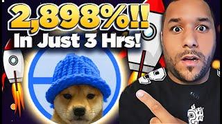  WTF! DOG WIF BLUE HAT EXPLODES 25X IN Just 3 HOURS! OMG THIS IS FUNNY!! WATCH FAST! HAHA 