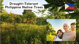 Drought-tolerant Philippine Native Trees on the Farm