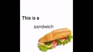 this is a sandwich * cat dancing *