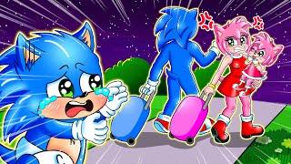 Heartbreak for Baby Sonic! Family Breaks Apart! - Very Sad Story - Sonic the Hedgehog 3 Animation