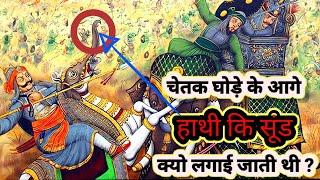 चेतक के मुख पर हाथी की नकली सुंड क्यों लगाई जाती थी?//Chetak ghoda// Maharana Pratap ka ghoda#video