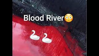 River turns blood || 22 countries