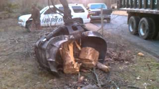 Removing Tree Debris in Marietta Ga part 4