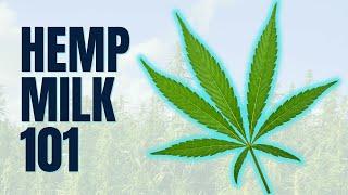 Hemp Milk 101: Pros & Cons You Need to Know