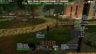 Pantheon Rise of the Fallen is essentially EverQuest 3 - Join our Guild [The Remnant] on Ossari!