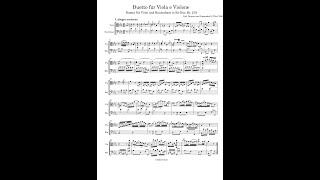 Karl Ditters von Dittersdorf – Duetto (Viola & Kontrabaß)