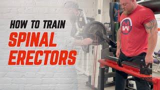 How To Train Your Spinal Erectors THE RIGHT WAY