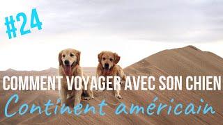 VOYAGER avec son CHIEN sur le CONTINENT AMÉRICAIN