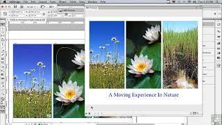 tutorial adobe indesign An Animation Project.